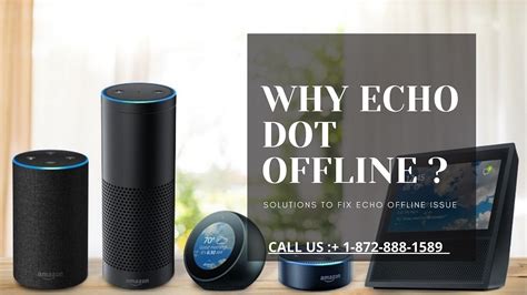 why are echo dots so cheap